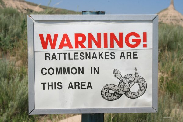 You couldn't walk out to Chimney Rock because of the rattlesnakes