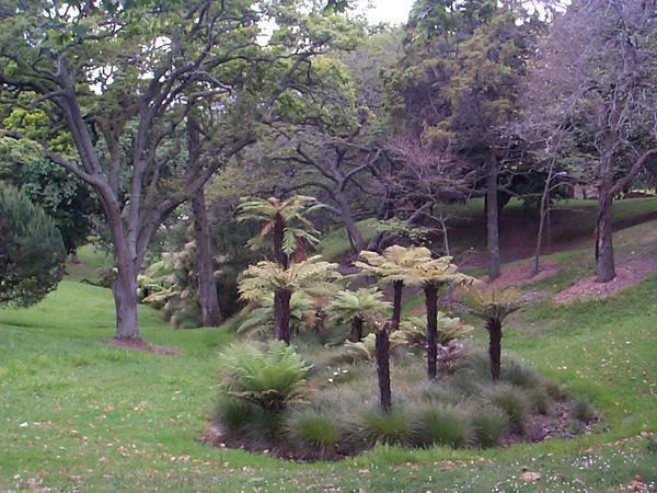 Park in Auckland
