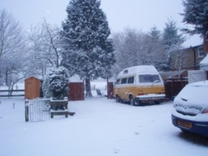 Dobbie in the snow at Maidenhead