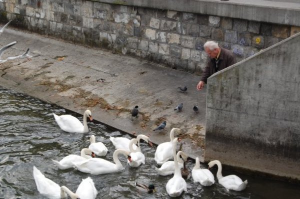 Old Man Feeding Birds