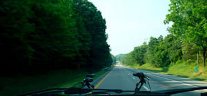 Roads of Virginia