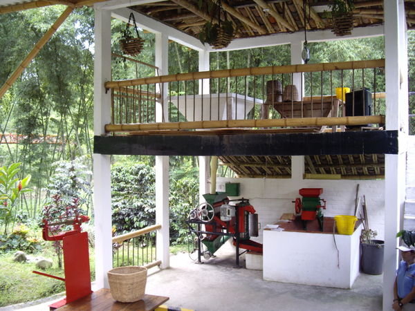 The drying and de-shelling process of coffee beans!