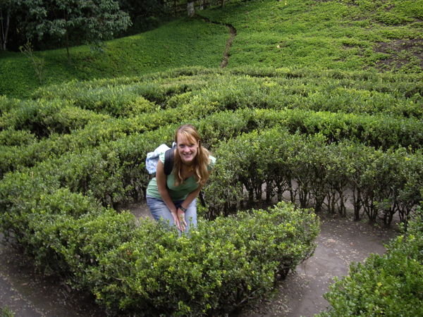 Me in Botanical garden maze!