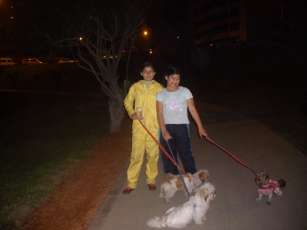 Taking the dogs for a walk!