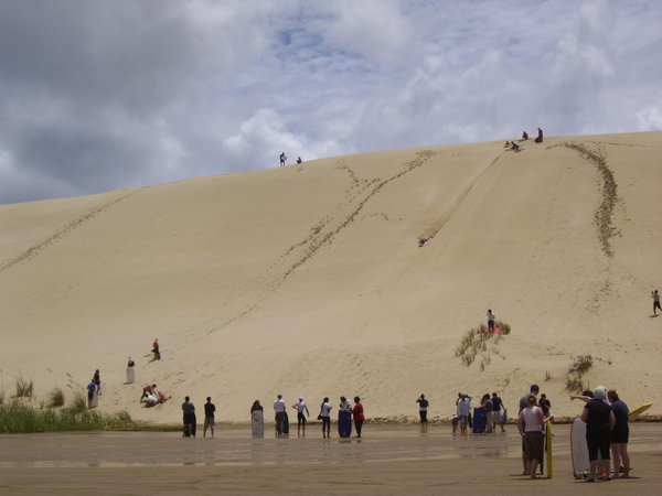 People boogyboarding at the sand dunes!! We forgot our boogyboards! :o(