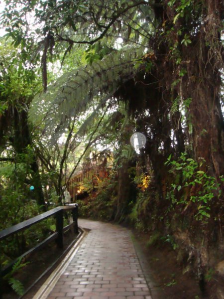 Walkway outside the caves