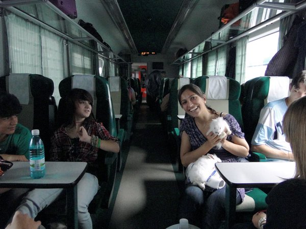 On the Train to Brasov