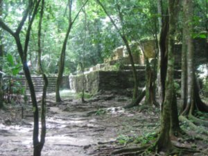 24. Palenque - Ruins of dwellings for commoners