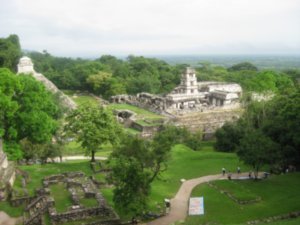 View over Palenque ruins