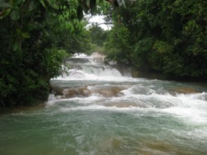 36. Agua Azul Waterfalls