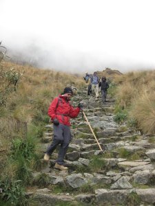 66. The steep descent to Pacamayo campsite, Day 2 of Inca Trail