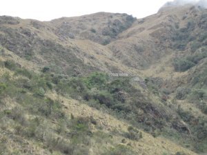 70. Runquraqay ruins, Day 2 of Inca Trail