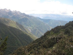 86. Cloud Forest, Day 3 of Inca Trail