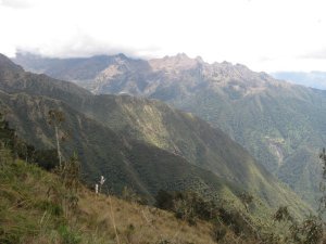 87. Cloud Forest, Day 3 of Inca Trail