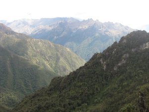 91. Cloud Forest, Day 3 of Inca Trail