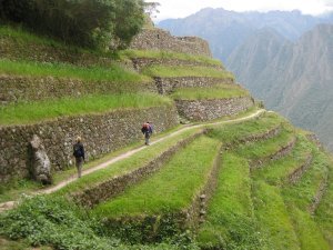 99. Intipata Inca Terraces, Day 3 of Inca Trail