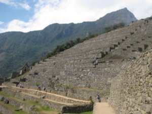 123. Agricultural Terraces at Machu Picchu