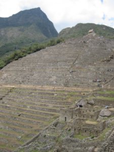 133. Agricultural Terraces, Machu Picchu