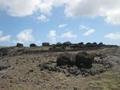 17. Fallen Maoi - Ahu Akahanga, Easter Island