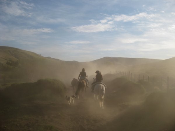 35. Riding on Estancia Huechahue - rounding the horses up gaucho style