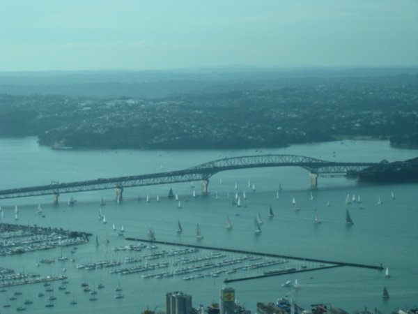 8. Auckland Harbour taken from the Sky Tower