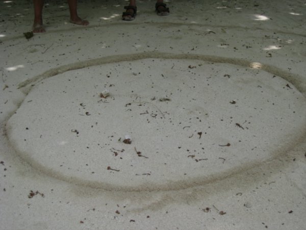 25. Hermit crab racing, Maina Island, Aitutaki lagoon