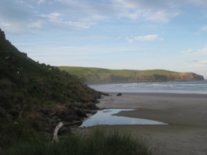21. Victory beach, with penguins climbing the hill to find their nests, Otago Penninsula
