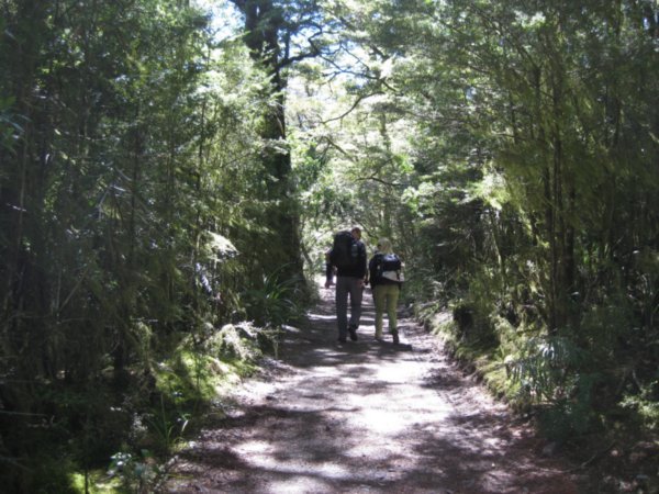 10. Walking through the forest, Day 1 of the Milford Track