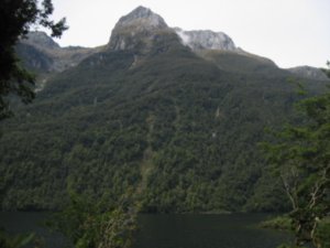 52. Day 4 of the Milford Track