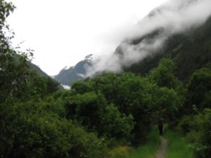 44. Walking in the early morning mist, Day 4 of the Milford Track