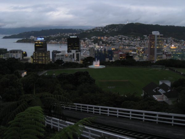 5. View over Wellington from the Botanical gardens