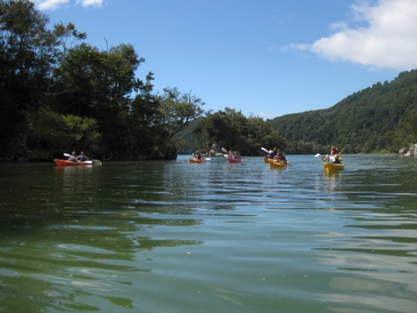 27. Kayaking in Bark Bay, Abel Tasman national park