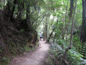 20. Abel Tasman national park