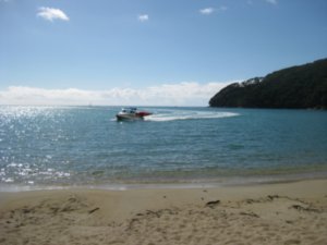 25. Water taxi bringing the kayaks to Bark Bay at the start of day 2 in Abel Tasman national park