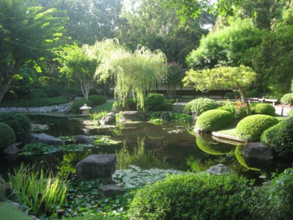 23. Japanese Garden, Botanic Gardens, Brisbane