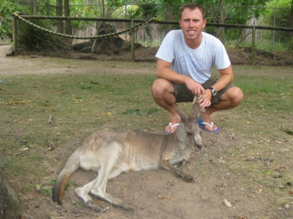 41. Posing with a Kangaroo, Lone Pine Koala Sanctuary, Brisbane