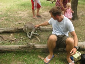 35. Stroking a Kangaroo, Lone Pine Koala Sanctuary, Brisbane