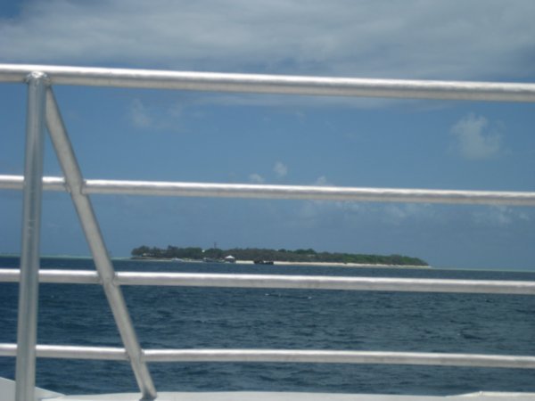 1. First view of Heron Island from the catamaran