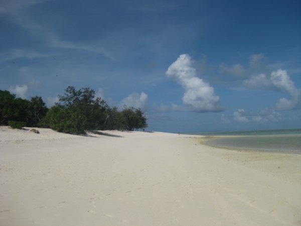 9. Research Beach, Heron Island