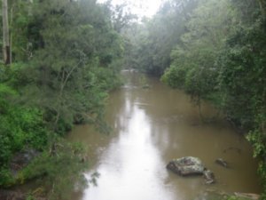 8. Broken River, Eungella National Park, nr Mackay