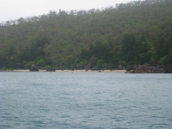 17. Blue Pearl Bay, Hayman's Island, Whitsundays