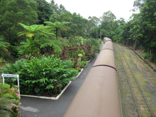 15. Kuranda station in the middle of rainforest, Cairns