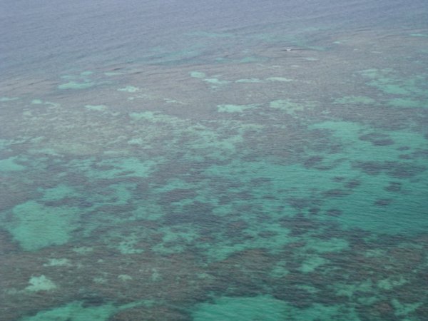 51. The Great Barrier reef, near Cairns