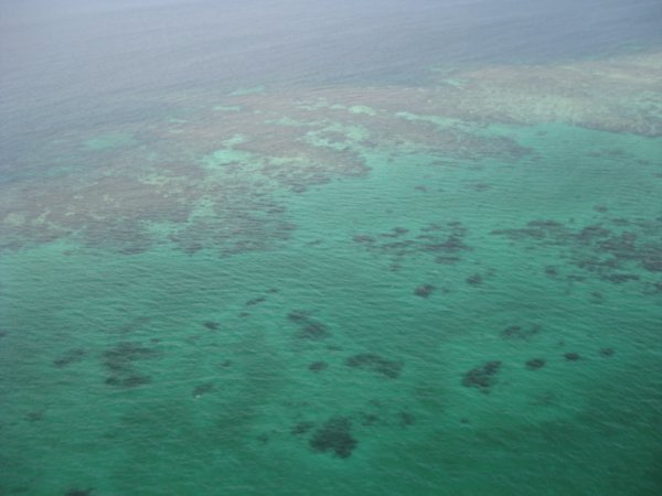 52. The Great Barrier reef, near Cairns