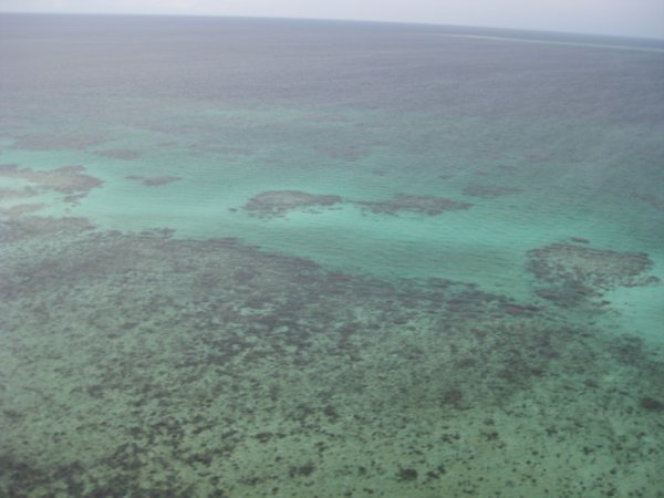 53. The Great Barrier reef, near Cairns