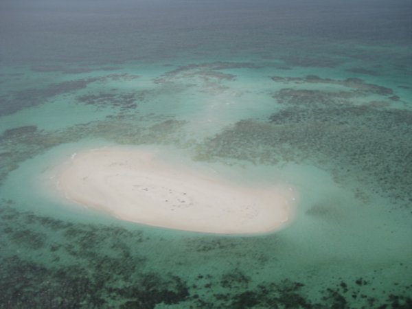54. Coral Cay, The Great Barrier Reef, near Cairns
