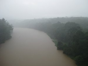 13. Barron river, near Cairns
