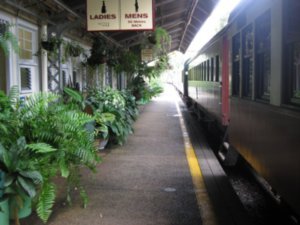 14. The railway platform is even a mini-forest!, Kuranda, Cairns