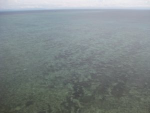 48. The Great Barrier reef, near Cairns