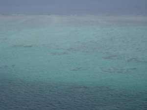 49. The Great Barrier reef, near Cairns